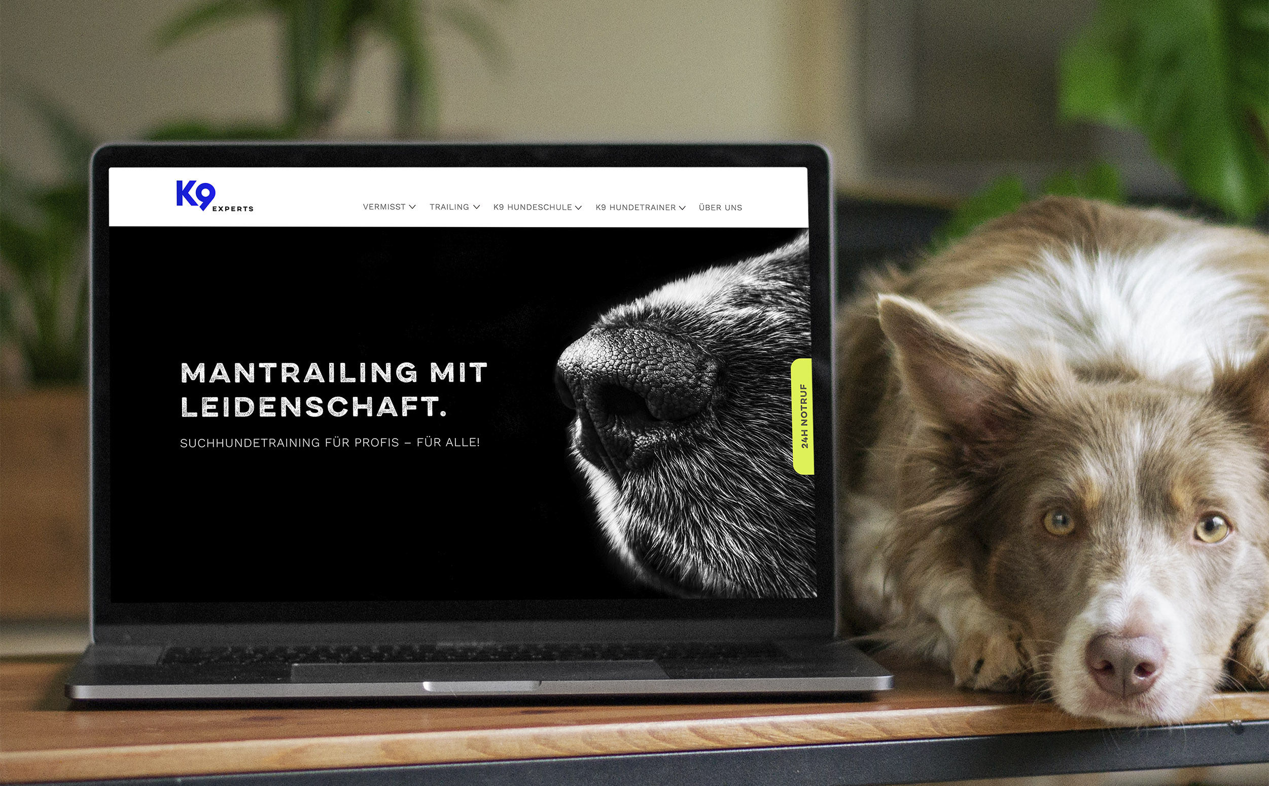 2030-k9-experts-suchhunde