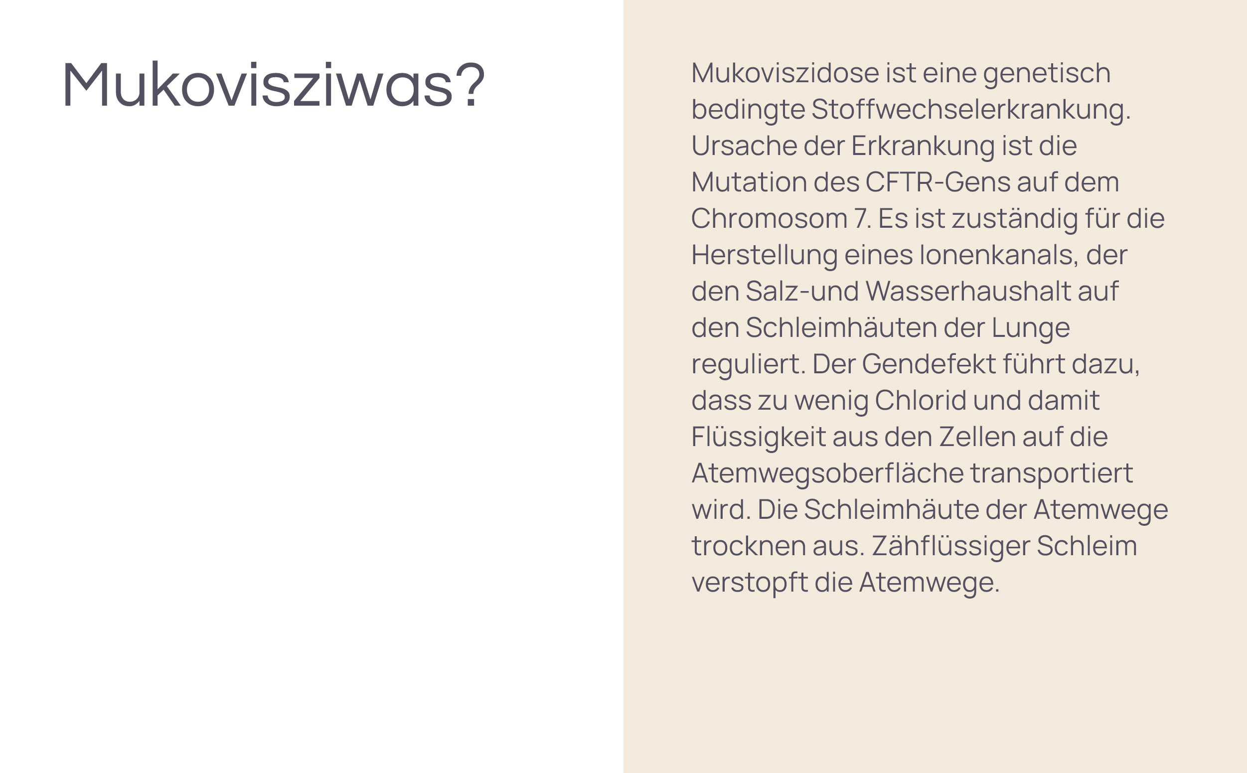 2030-christian-lell-stiftung-mukovisziwas-2