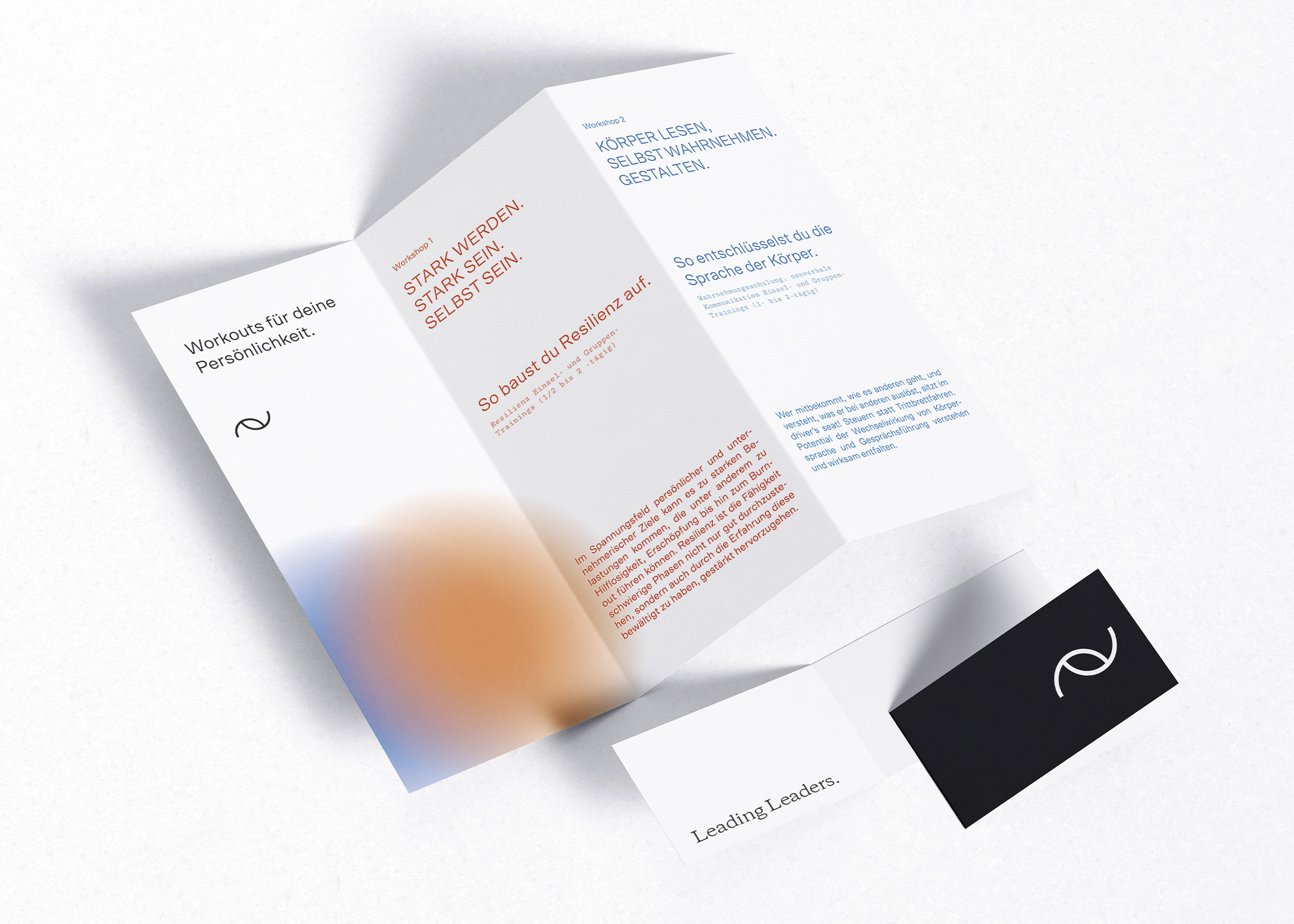 2030-jan-messutat-coaching-design-flyer