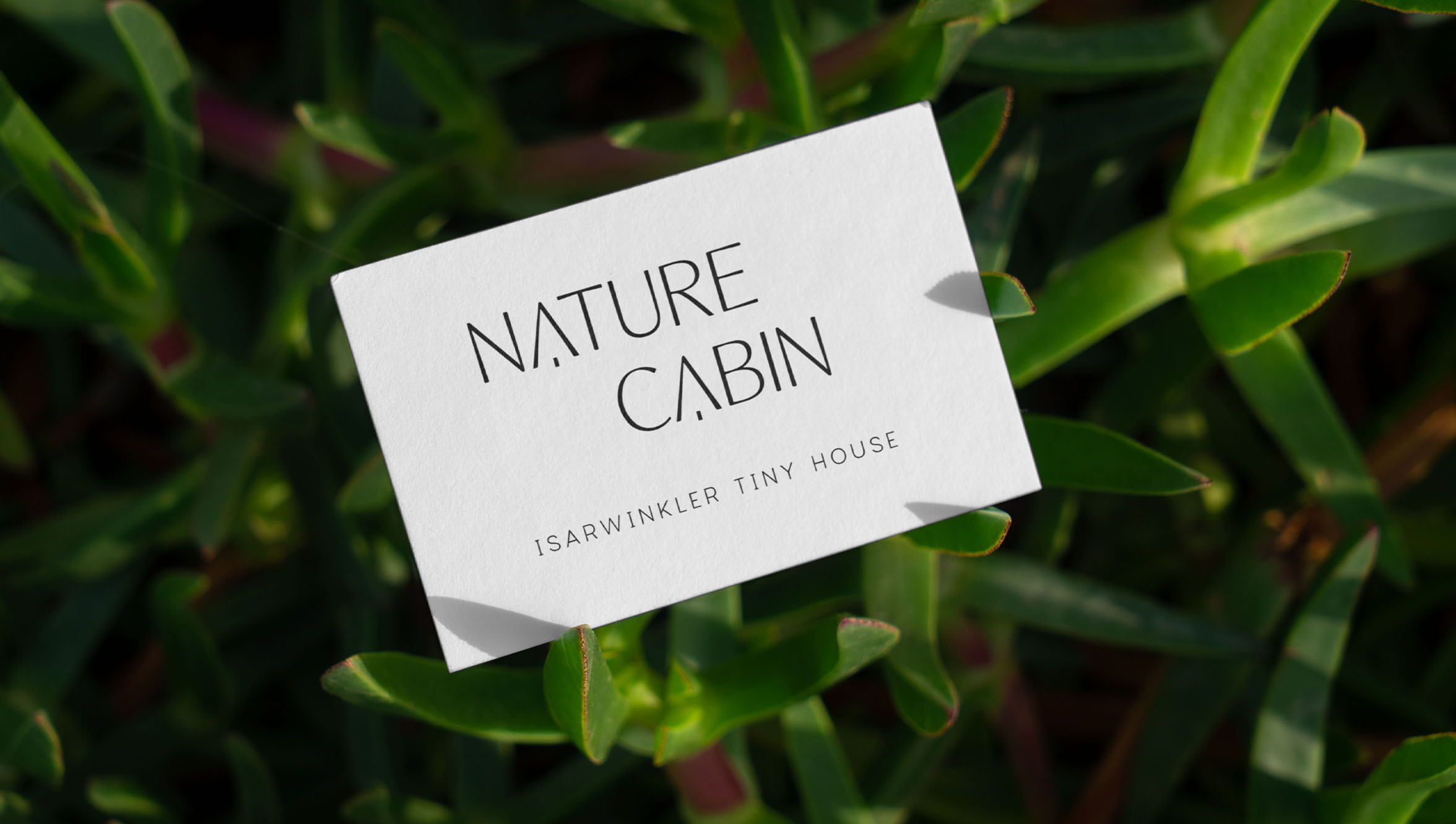 gamma-logo-nature-cabin-mockup