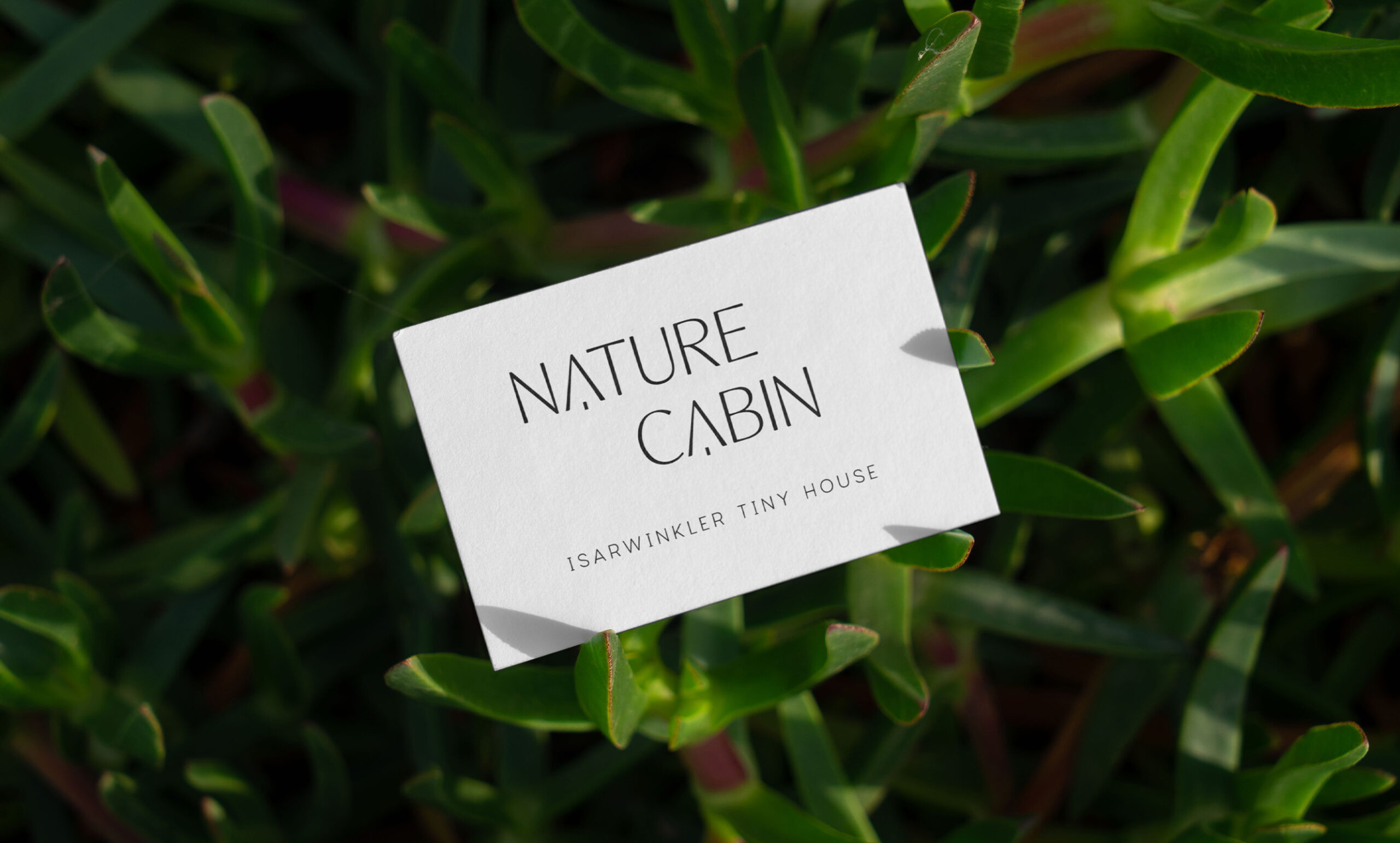 nature-cabin-design-gamma-3