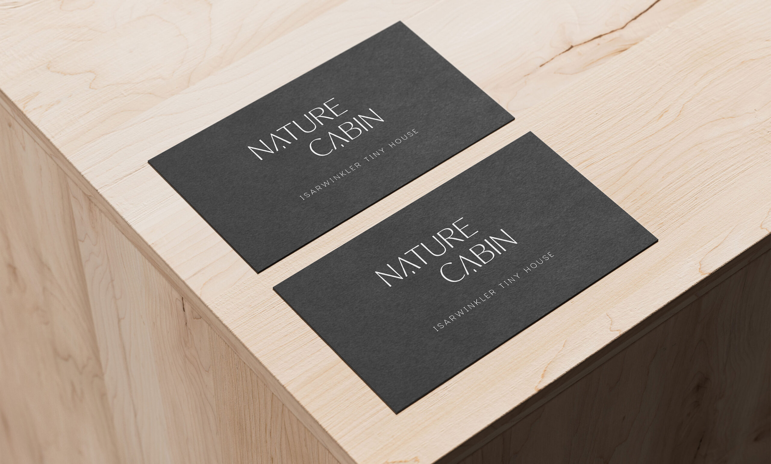 nature-cabin-design-gamma